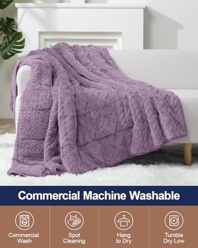 Ultra Soft Sherpa Weighted Blanket for Adults, 48"x72" 15lbs Heavy