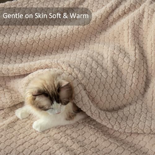Exclusivo Mezcla Soft Fleece King Size Blanket for Bed, Camel