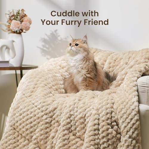 Drewin Weighted Blanket Queen Size 15lbs for Adults,Beige,60