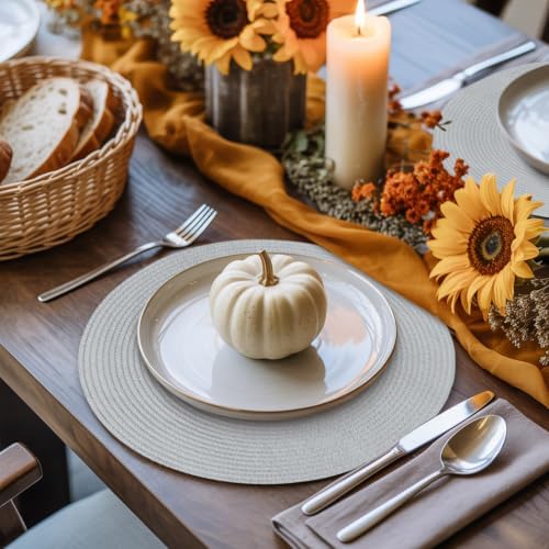 Silver Gray 15 Inch Round Placemats Set of 6, Boho Light Gray Solid