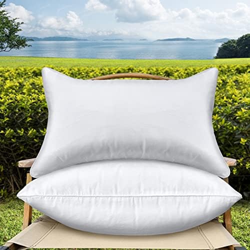 12 x 20 Outdoor Throw Pillow Inserts Set of 2 Waterproof Rectangle