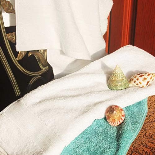 Lightwind 6 Pack Premium 100% Cotton Hand Towels, Absorbent Bathroom