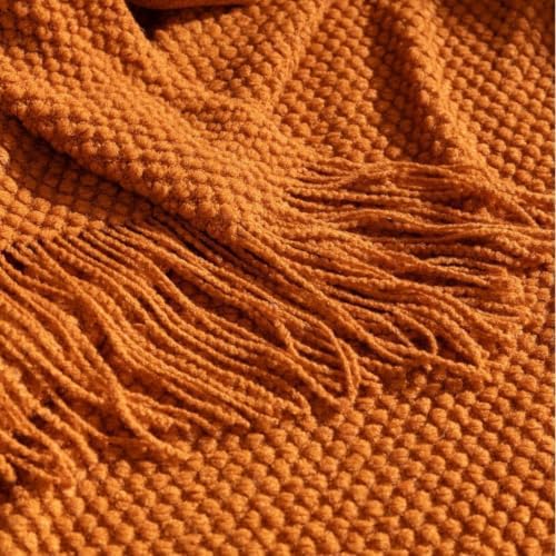 Oatmeal Chunky Knit Throw Blanket with Tassels, Textured Sofa Decor