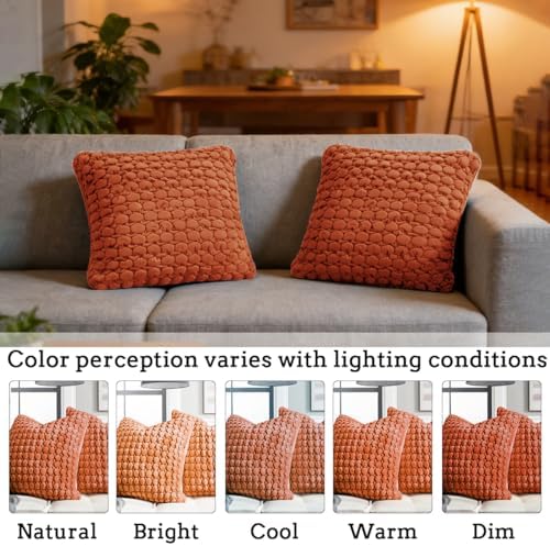 Velvet Throw Pillow Covers 18x18 Set of 2 Rust Cushion Case