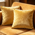 Bunliuys 2 Pack 20x20 Pillow Cover Velvet Pillow Covers, Throw Pillow