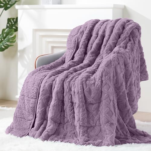 Ultra Soft Sherpa Weighted Blanket for Adults, 48"x72" 15lbs Heavy