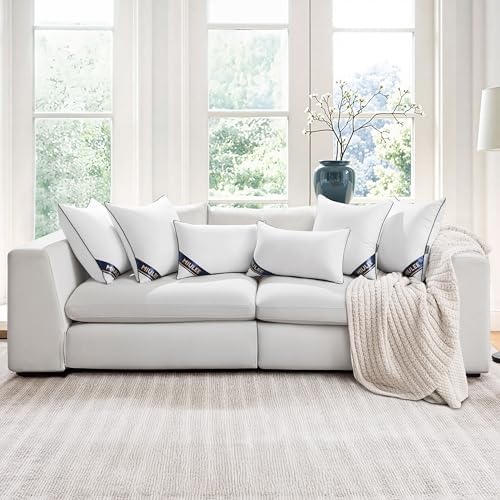 MIULEE 20x20 Pillow Inserts 2 Pack, Premium Down Alternative Throw