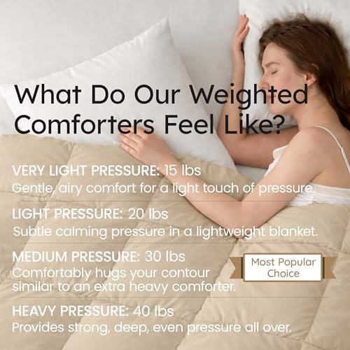 HomeSmart Queen Size Weighted Comforter 20 lbs, Light Calming Pressure