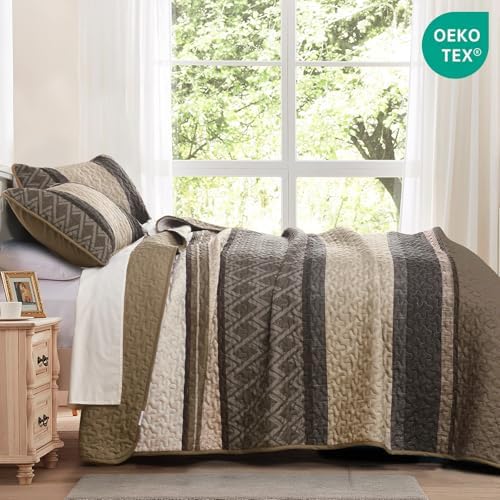 Dinjoy Boho Queen Quilt Set, Striped Soft Bedspread, Taupe