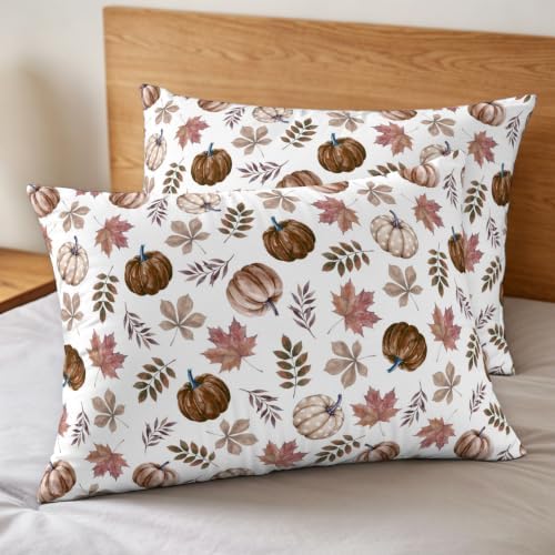 Vintage Pumpkins Fall Duvet Cover Set 3 Pieces with Zipper Closure