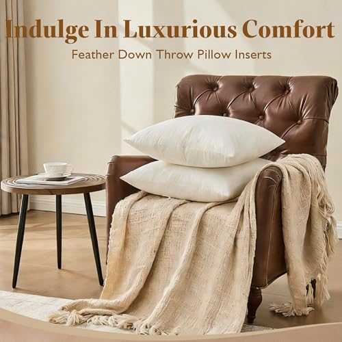 BPC 18x18 Down Feather Throw Pillow Inserts Set of 2, 100% Organic