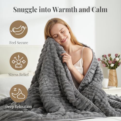 Topblan Weighted Blanket for Adults Twin Size 48 x 72 15lbs, Sherpa