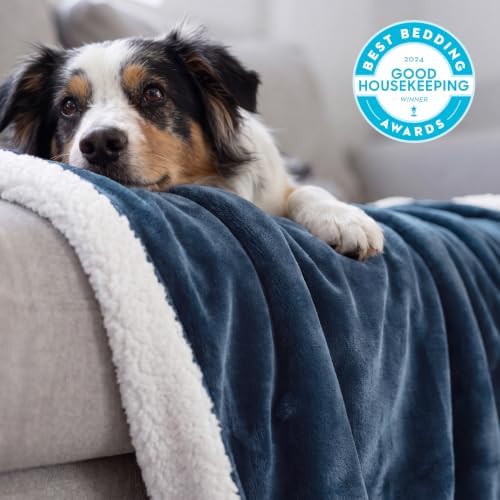 Bedsure GentleSoft Sherpa Fleece Blanket Queen Size for Bed