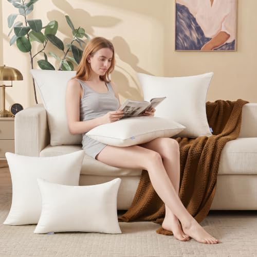 Leeden 20 x 20 Throw Pillow Inserts Set of 2 Pillow Forms for Sofa