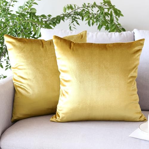 Hibate 2 Pack Soft Velvet Couch Throw Pillow Covers 20x20 Inch for
