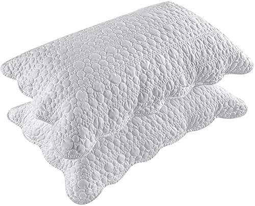 BOSOWOS Queen Size Pillow Shams Set of 2, Soft Breathable Pillow Case