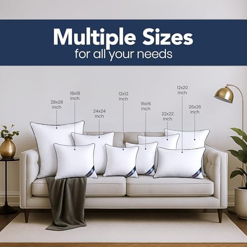 Decorative Throw Pillow Inserts 20x20, Kids Throw Pillows, 2-Pack