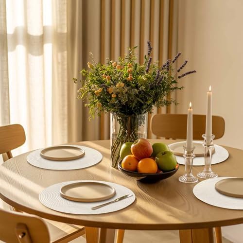 Cream Round Placemats Set of 4 Modern Pure Beige Place Mats Indoor