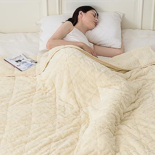 Topblan Weighted Blanket Twin Size 15lbs, 48 x 72 for Adults in Bed
