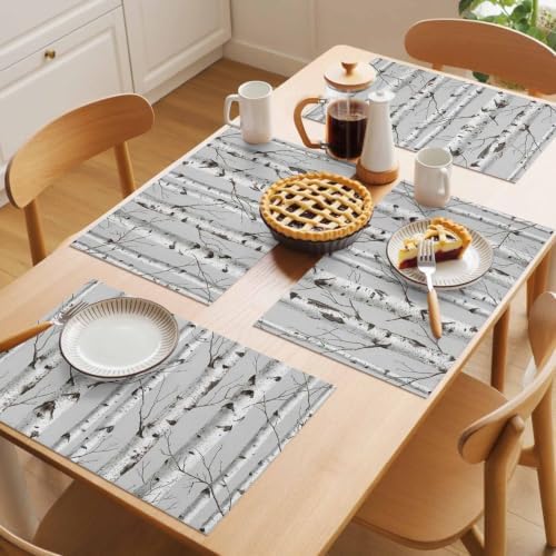 Nature Birch Trees Placemats Set of 6 Modern Gray Modern Tree Bark