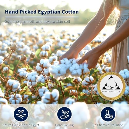 Shilucheng 100% Egyptian Cotton King Size Sheets Set (Dark Grey, King)