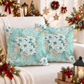 Coastal Poinsettia Winter Floral Throw Pillow Covers 22x22 Set of 2