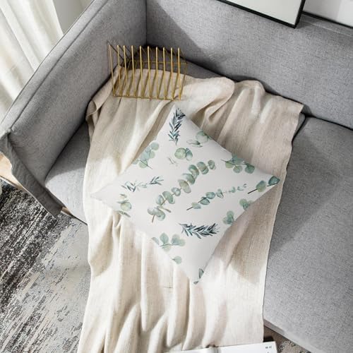 Emvency Throw Pillow Covers, 22 x 22 Inch, Eucalyptus Watercolor