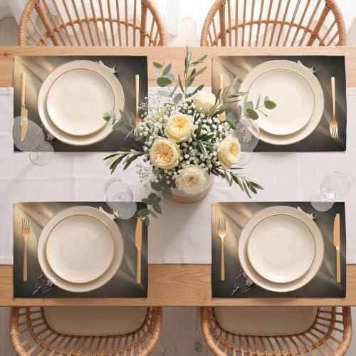 Placemat Set of 12 Washable Linen Textured Place Mats for Dinner