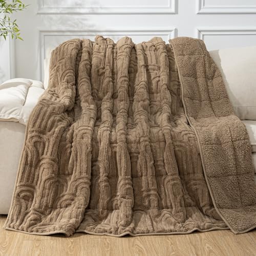 Cottonblue Weighted Blanket for Adults 15lbs Queen Size 60"x80" Soft