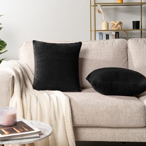 PAVILIA Black Decorative Throw Pillow Covers 18x18 Set of 2, Plush