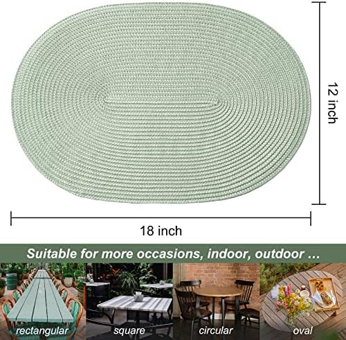 AHHFSMEI Placemats Set of 8 for Dining Table Washable Woven Non-Slip