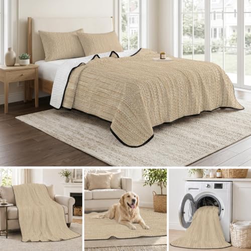 Modern Minimalist Art Queen Size Down Alternative Comforter
