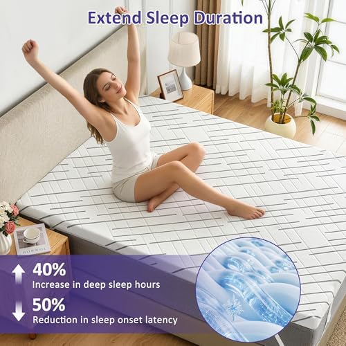 3 Inch Gel Memory Foam Mattress Topper Queen Size with Removable &