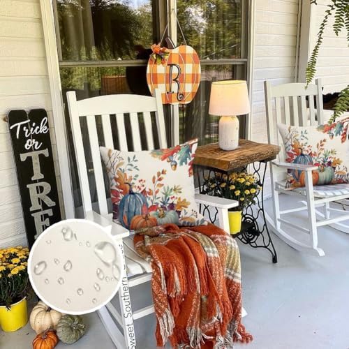 RABUSOFA Fall Outdoor Pillow Covers 18x18 Set of 2 Waterproof Pumpkin