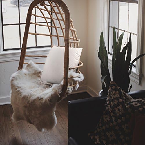 EDOW Throw Pillow Insert, Set of 2 Down Alternative Polyester Square
