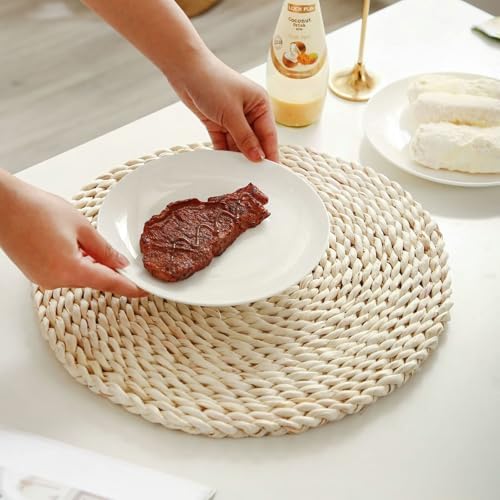 Modern Dining Room Placemats Set of 8, 14.97 in / 38 CM, Round with