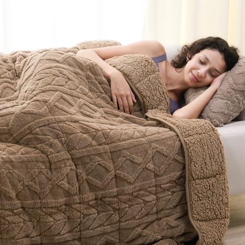 Cottonblue Weighted Blanket for Adults 15 lbs Queen Size 60x80in Ultra