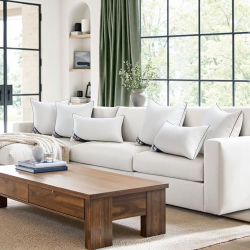 MIULEE 20x20 Pillow Inserts 2 Pack, Premium Down Alternative Throw