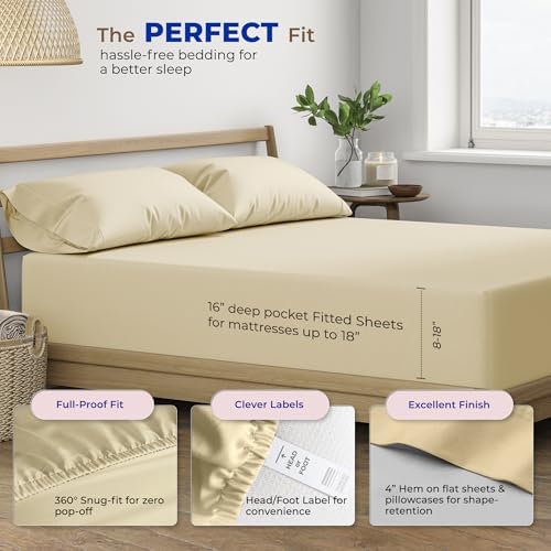 THREAD SPREAD 100% Egyptian Cotton Sheets Twin Size - 600 Series Bliss