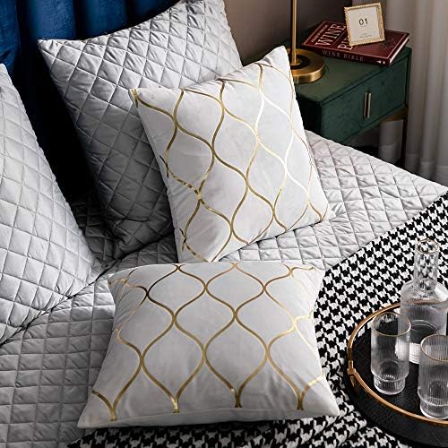 DEZENE Gold Velvet Throw Pillow Covers Off White: 2 Pack 20x20 Inch