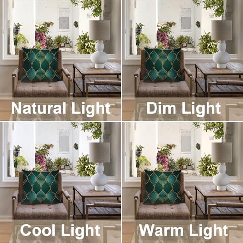 Luxury Vector Throw Pillow Covers, Emerald and Gold Pattern Cushion