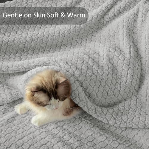 Exclusivo Mezcla Soft Fleece King Size Blanket for Bed, Light Grey