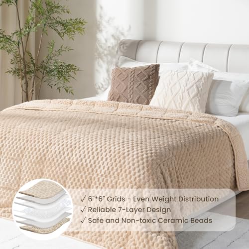 Drewin Weighted Blanket Queen Size 15lbs for Adults,Beige,60