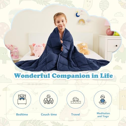 10 lbs Weighted Blanket Twin Full Size, 48" x 72" Cooling Weighted