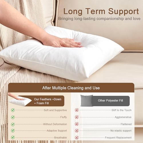 Organic Feather Down Throw Pillow Inserts 20x20 Inch Set of 2
