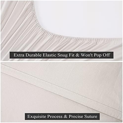 2-Pack Pure Cotton Twin Size Fitted Sheet, 600 Thread Count, Light