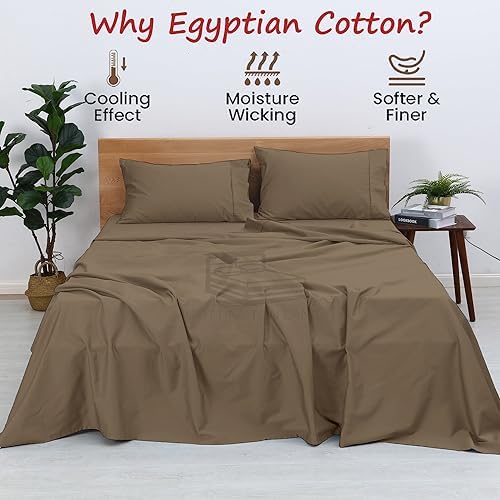 Cottington Lane 4 Piece Twin XL Size Sheet Set, 100% Egyptian Cotton