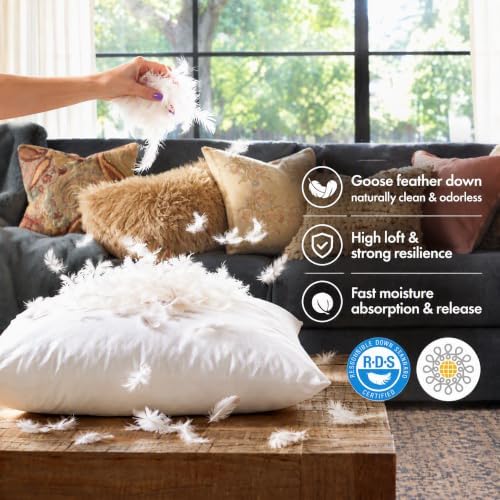 basic home® Hotel-Style 20x20 Goose Feather Pillow Insert for Sofa &