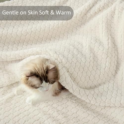 Exclusivo Mezcla Soft Fleece King Size Blanket for Bed, Ivory