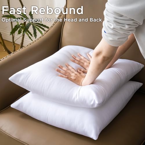 20 x 20 Pillow Inserts Set of 4 - Premium Soft and Fluffy 20 Inch